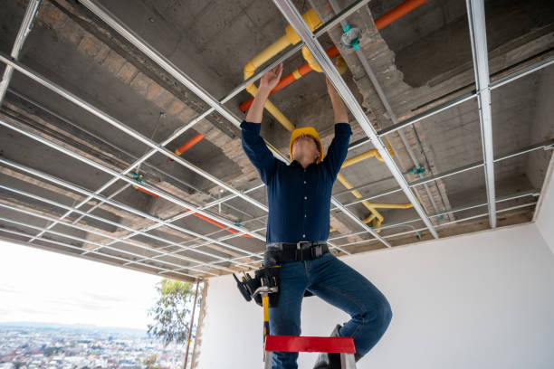 Best Emergency Plumber  in Westway, TX